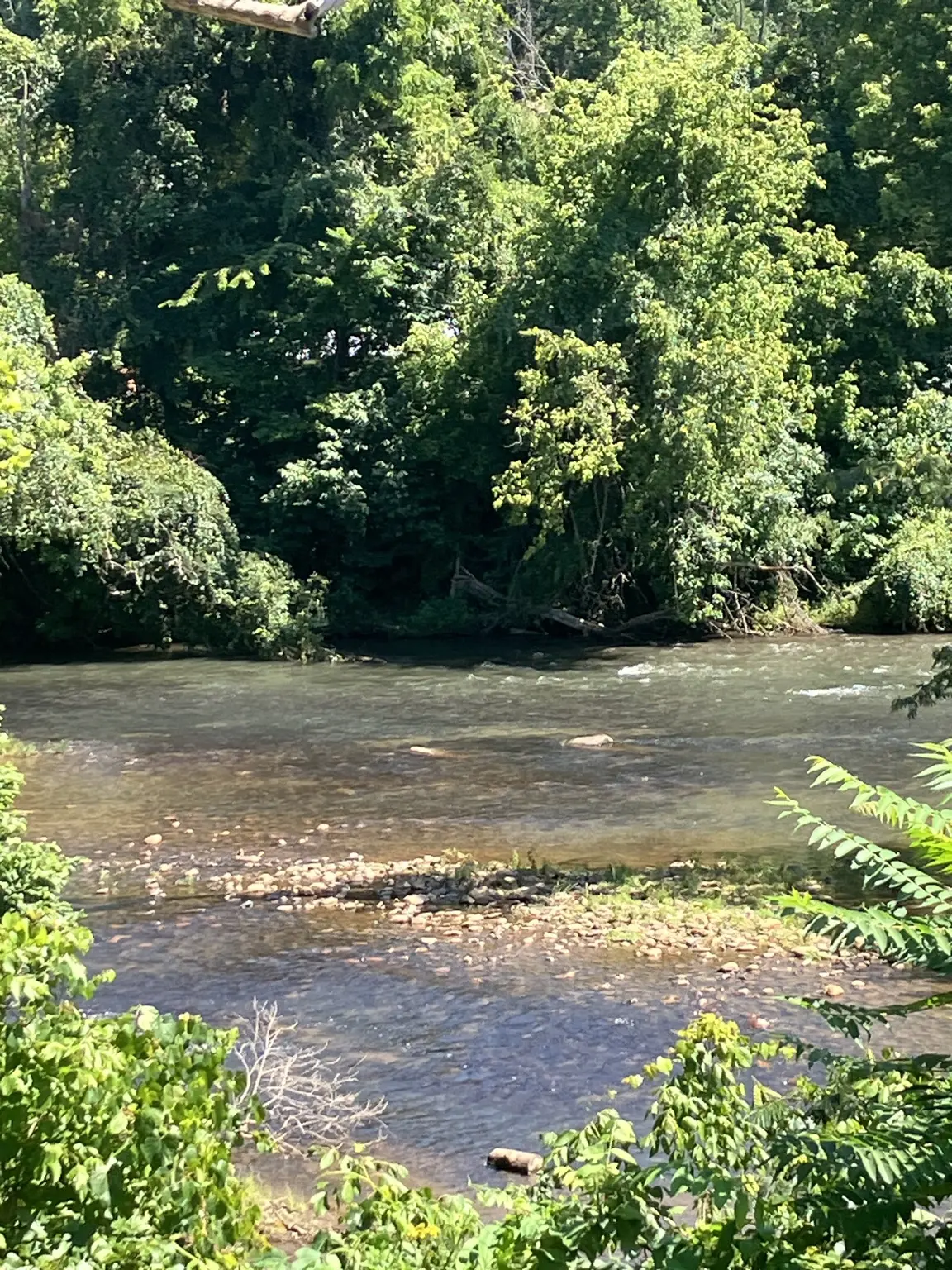 Gentle rapids on the Smith River